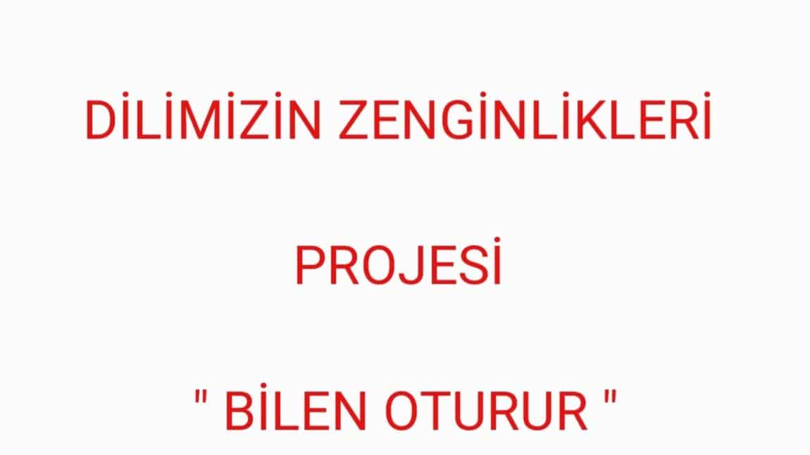 DİLİMİZİN ZENGİNLİKLERİ PROJESİ 